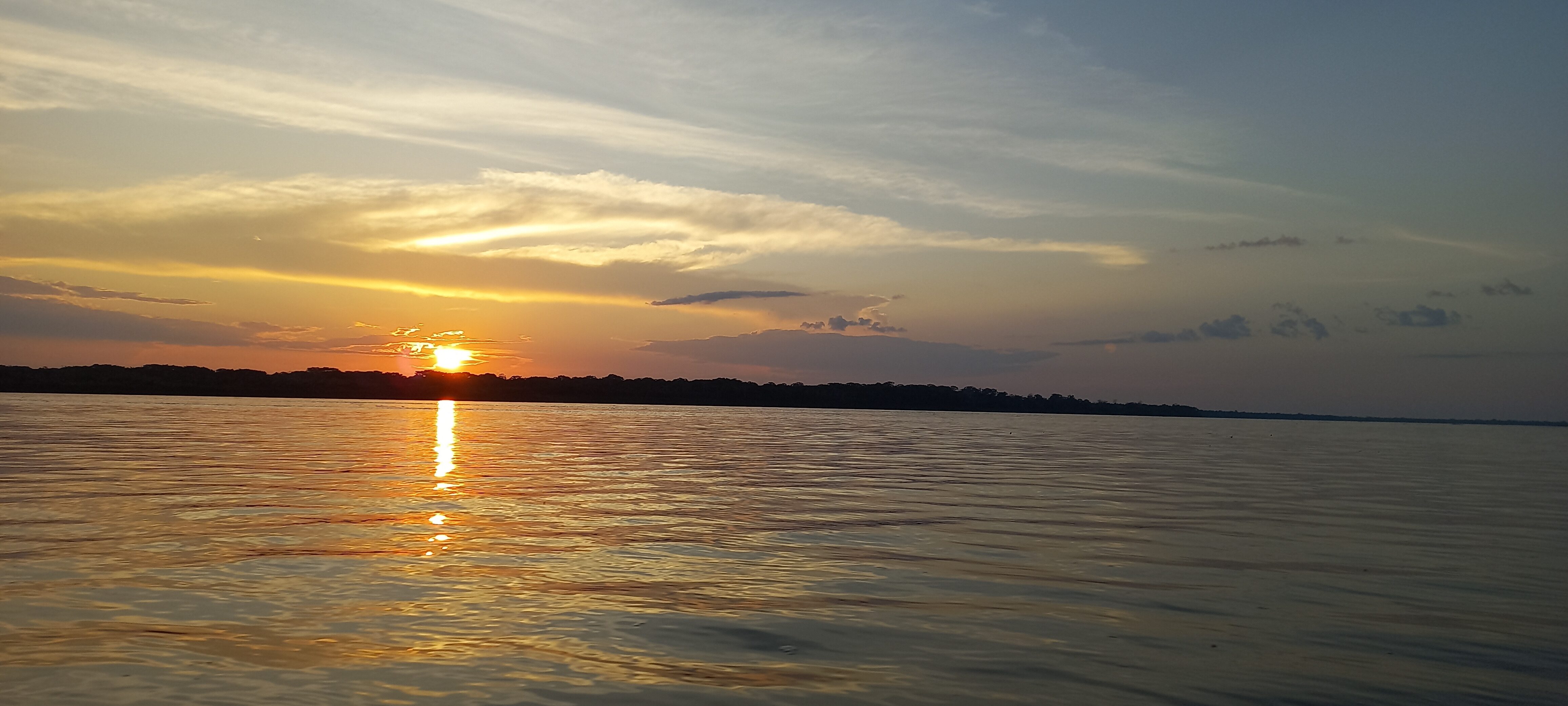 20231117_172337 20231117_172337