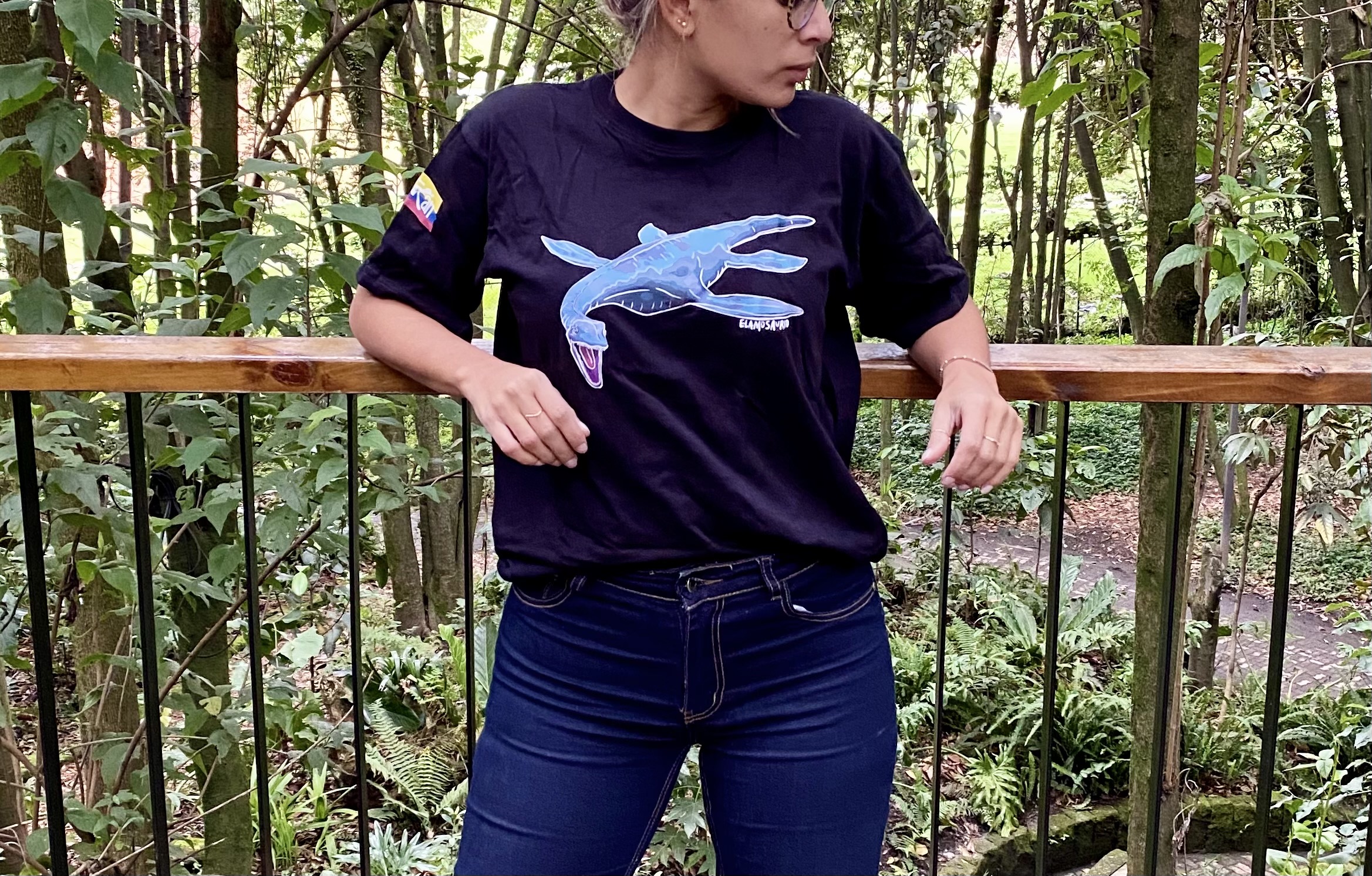 IMG-2950 (1) IMG-2950 (1)