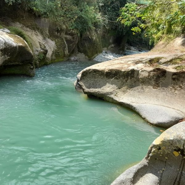 Piscina natural-279040de