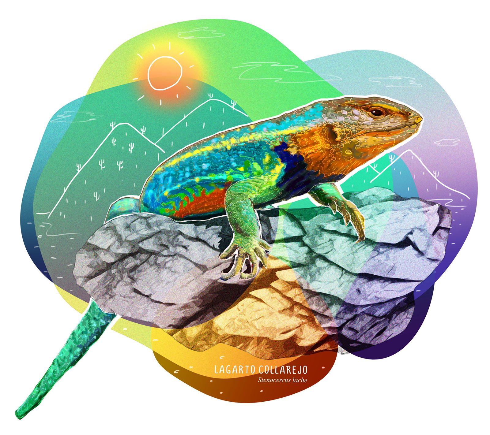 WhatsApp Image 2021-11-26 at 6.09.49 PM (2)