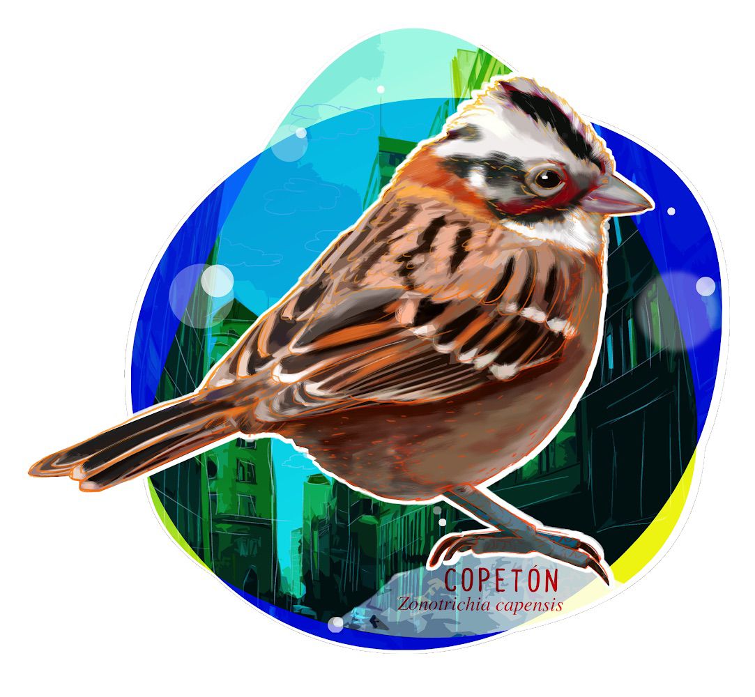 WhatsApp Image 2021-11-26 at 6.09.51 PM (2)