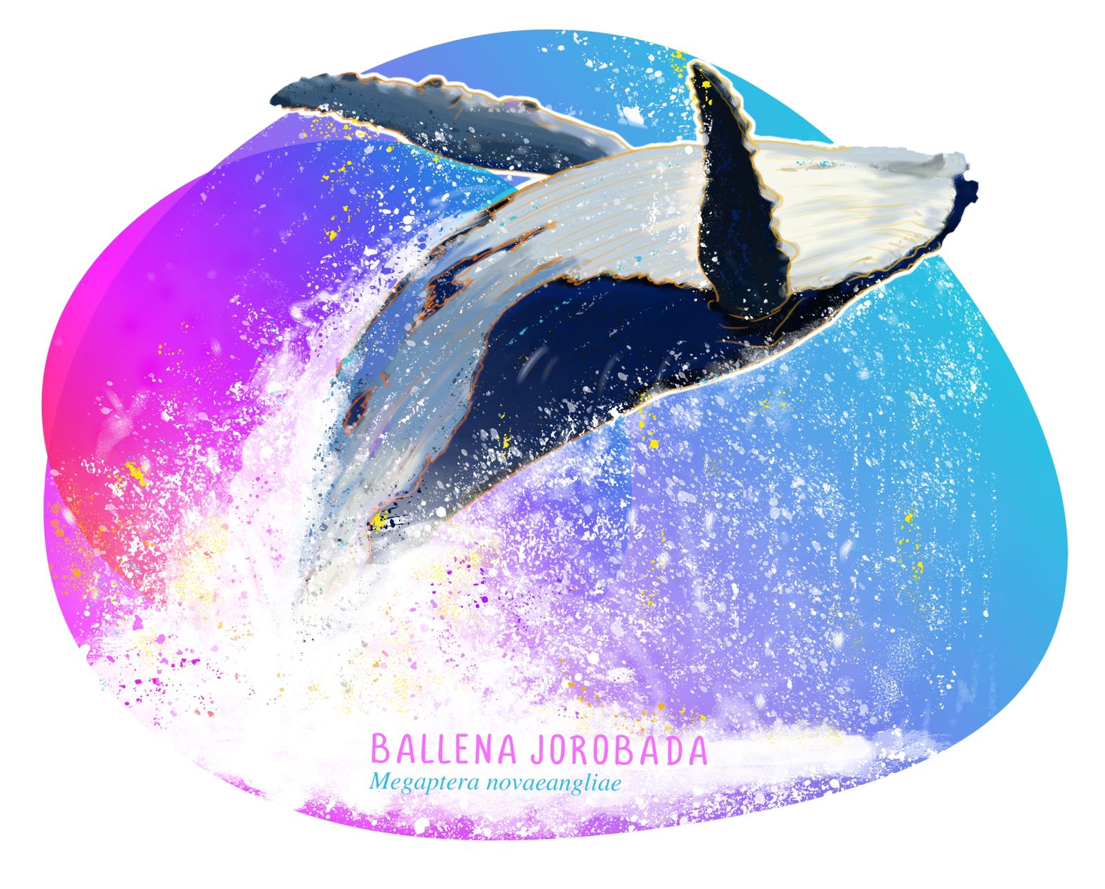 WhatsApp Image 2021-11-26 at 6.09.54 PM (1)